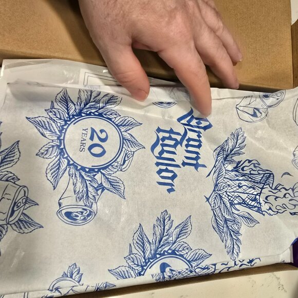 Nike SB Blazer Low Pro GT Premium FZ1300-100 WHITE BLUE MEN'S SIZE 10 NEW - Picture 10 of 12